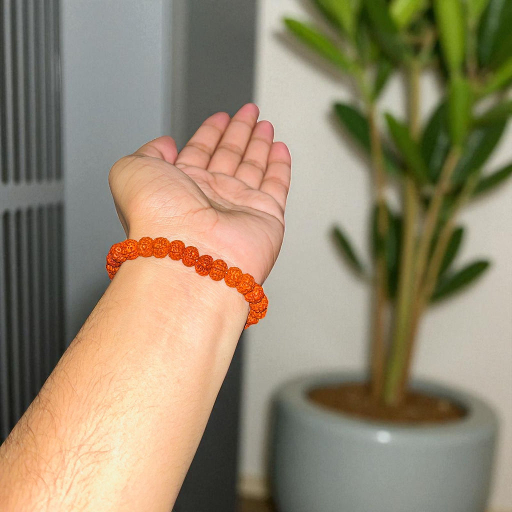 5 Mukhi  Original Rudraksha Bracelet