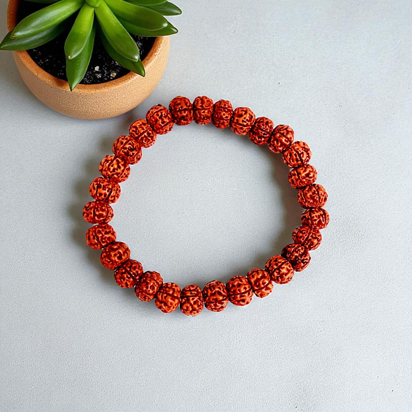 5 Mukhi  Original Rudraksha Bracelet