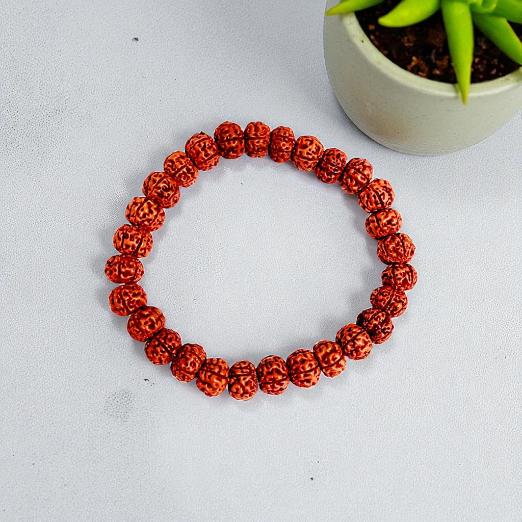 108 Beads 5 Mukhi Rudraksha Mala & Bracelet Combo