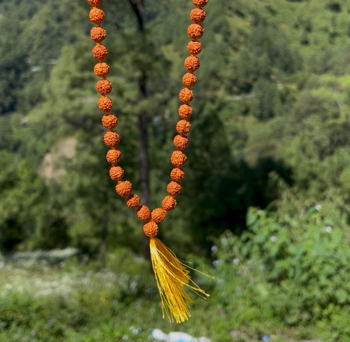 108 Beads 5 Mukhi Rudraksha Mala